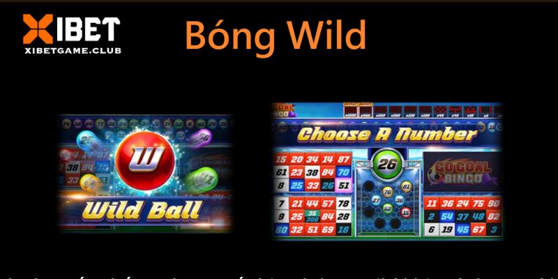 Bận Wild mang đến cho bạn cơ hội thắng lớn