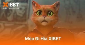 Mèo Đi Hia XIBET
