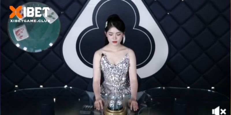 Bạn được tham gia cá cược cùng dealer người thật