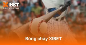 Bóng chày XIBET