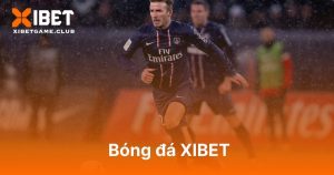 Bóng đá XIBET