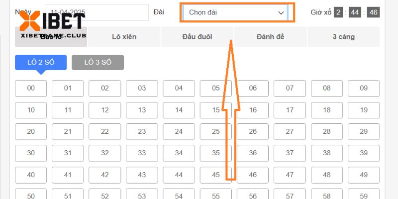 Bạn có thể lựa chọn nhà đài đặt cược tùy vào nhu cầu của mình