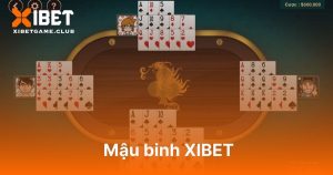 Mậu binh XIBET