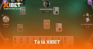 Tá lả XIBET