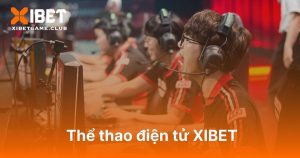 thể thao điện tử XIBET