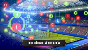 Cược giải Ligue 1 và kinh nghiệm